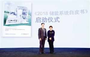 儲能爆發或在2019年