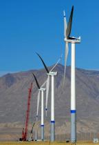 中廣核新能源達(dá)成云南省首單綠證交易