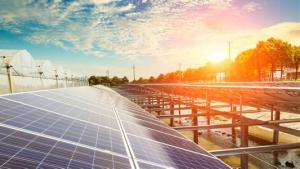 印度、南非等多個國家豁免美國太陽能產品進口稅