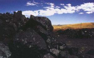 IEA在北京發布《煤炭市場報告2017》