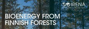 來(lái)自芬蘭森林的生物能源，IRENA報(bào)告：可持續(xù)，高效，現(xiàn)代化的木材利用