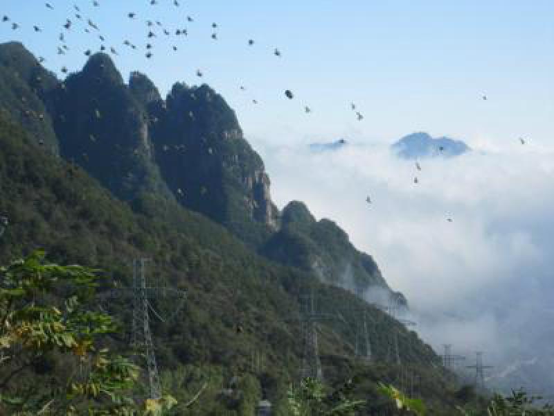 翻越秦嶺15公里無人區 吉泉特高壓直流輸電工程全線架通