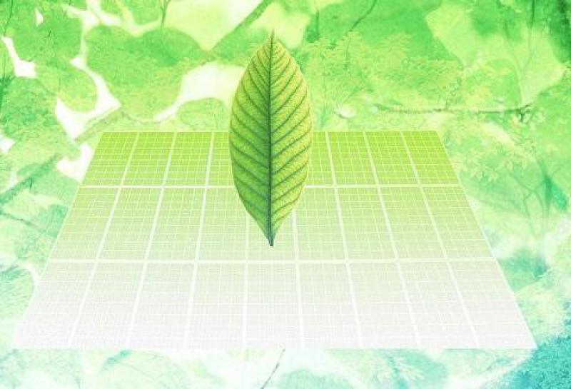 巴基斯坦的綠色能源潛力