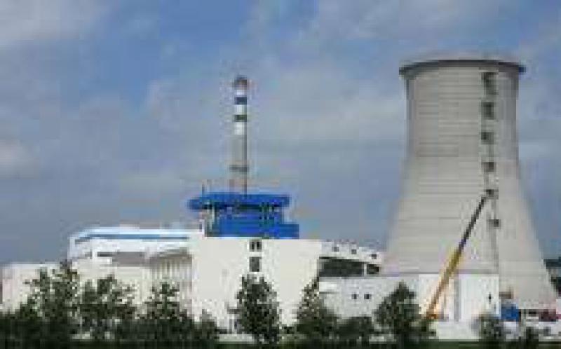 中國能建安徽電建一公司承建的安徽天長生物質發(fā)電機組成功并網