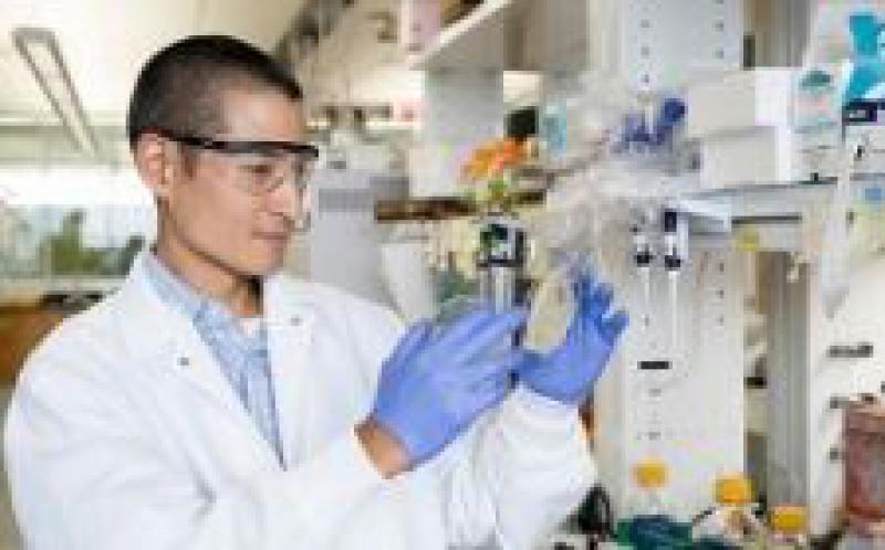 Discovery可保護酵母免受生物燃料生產的損害