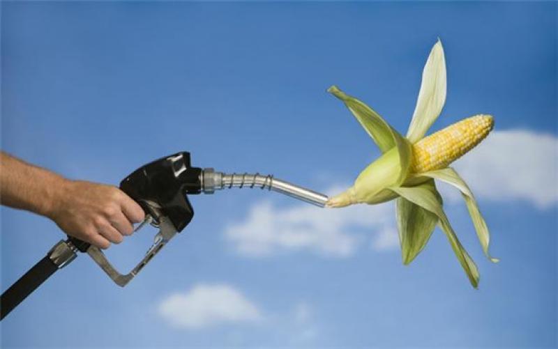 國務院常務會議確定生物燃料乙醇產業總體布局