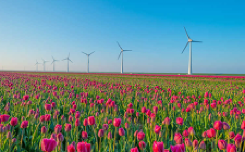 維斯塔斯通過ECN為Wieringermeer風(fēng)測試站點(diǎn)確保訂單