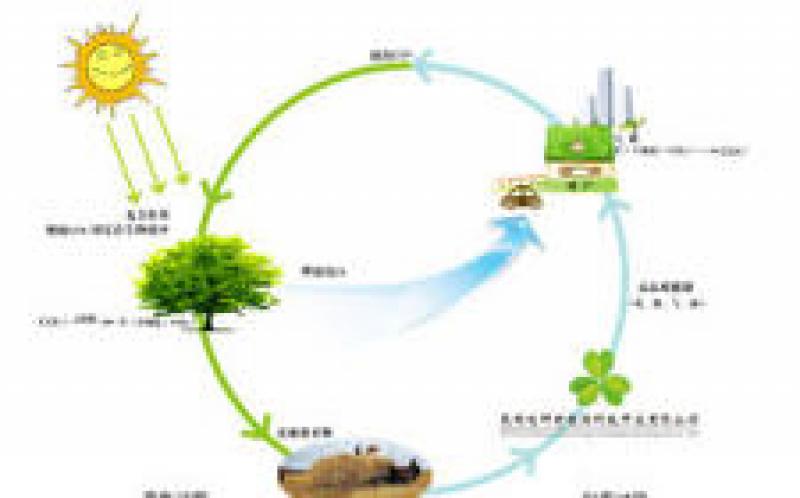 南非能源概況：生物質(zhì)能