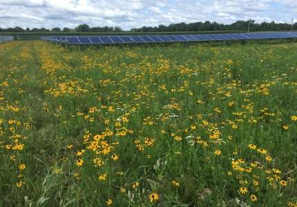 威斯康星州的太陽能將增長33％