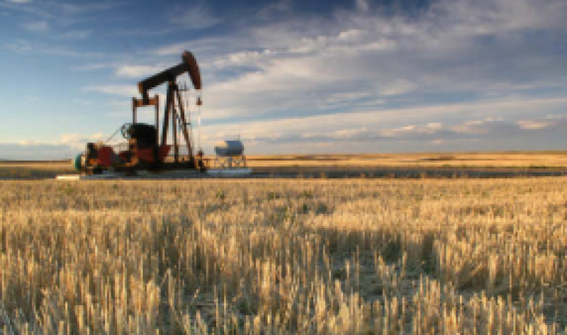 印度原油產量下降4.19％，推動9月份進口依賴度達到83.7％