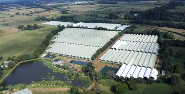 肯尼亞花卉種植園儲能系統實現清潔能源轉型