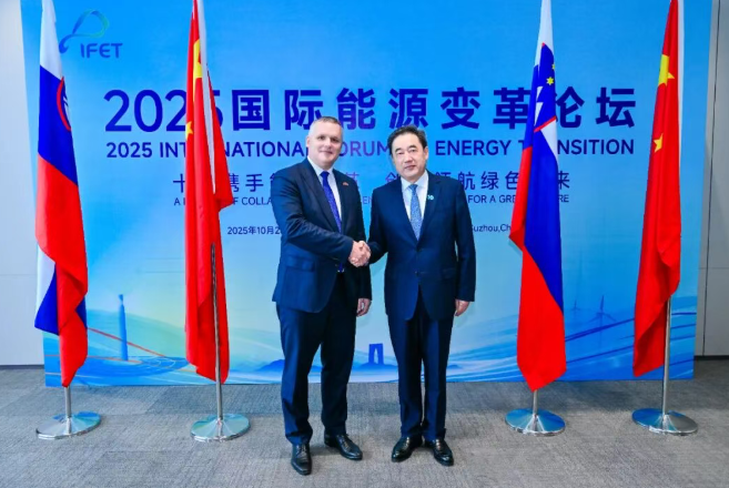 國家能源局主要負責人會見斯洛文尼亞環境、氣候和能源部部長